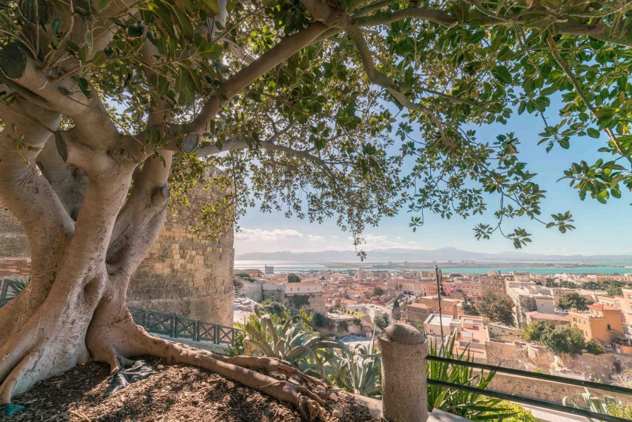 Una Splendida Vista Sulla Cattedrale - Wifi - Ac Cagliari Zewnętrze zdjęcie
